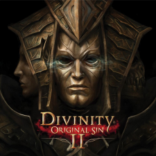  Divinity: Original Sin II (Digitális kulcs - PC) videójáték