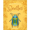 DK Publishing (Dorling Kindersley) An Anthology of Beetles | JONES RICHARD