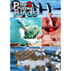 DL Softworks Pixel Puzzles 2: Birds (PC - Steam Digitális termékkulcs)