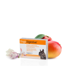 Dogoteka Dogodigestive - emésztést serkentő tabletta 30db vitamin, táplálékkiegészítő kutyáknak
