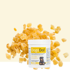 Dogoteka Dogodol - idegsejtvédő tabletta 60db vitamin, táplálékkiegészítő kutyáknak