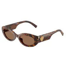 Dolce & Gabbana DG4537 347073 Leo Transparent Dark Brown napszemüveg napszemüveg