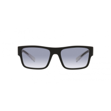 Dolce & Gabbana DG6149 501/79