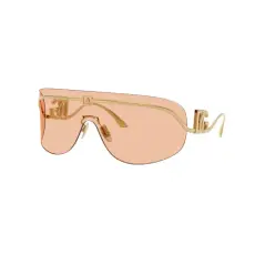 Dolce & Gabbana Dolce&Gabbana DG 2320 02/73