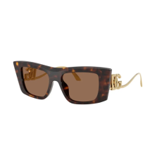 Dolce & Gabbana Dolce&Gabbana DG 4510 502/73