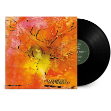  Doldinger's Motherhood - (Vinyl LP (nagylemez)) jazz