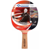 Donic Schildkröt DONIC-SCHILDKRÖT Persson 600 ping-pong ütő