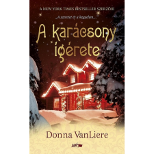Donna VanLiere - A karácsony ígérete egyéb könyv