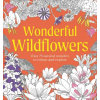 Dorling Kindersley Ltd Wonderful Wildflowers Colouring Book | DK