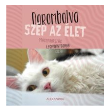  Dorombolva szép az élet - Magyarország legaranyosabb cicái gyermek- és ifjúsági könyv