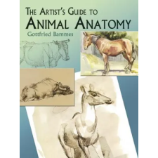 Dover Publications Inc. Artist's Guide to Animal Anatomy | Gottfried Bammes egyéb könyv