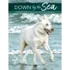  Down by the Sea – Cluadia Nice