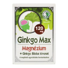 DR.CHEN GINKGO MAX MAGNÉZIUM KAPSZULA vitamin és táplálékkiegészítő