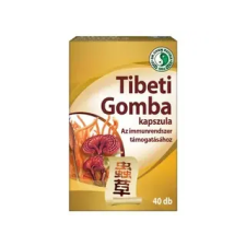 Dr. Chen Tibeti Gomba Kapszula 40 db vitamin és táplálékkiegészítő