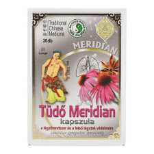 DR.CHEN TÜDŐ MERIDIAN KAPSZULA gyógyhatású készítmény