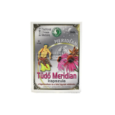  Dr.chen tüdő meridian kapszula 30db vitamin és táplálékkiegészítő