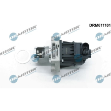 Dr.Motor Automotive AGR-szelep Dr.Motor Automotive DRM611101 autóalkatrész