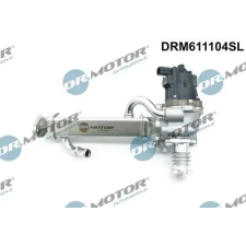 Dr.Motor Automotive AGR-szelep DRM611104SL autóalkatrész