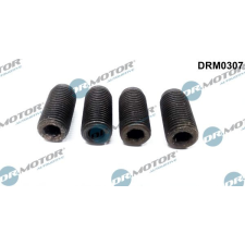 Dr.Motor Automotive Beszabályzó csavar, befecskendező szivattyú Dr.Motor Automotive DRM0307 autóalkatrész