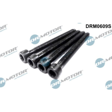 Dr.Motor Automotive Csavar, befecskendező fúvóka tartó Dr.Motor Automotive DRM0609S autóalkatrész