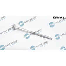 Dr.Motor Automotive Csavar, befecskendező fúvóka tartó Dr.Motor Automotive DRM0623 autóalkatrész