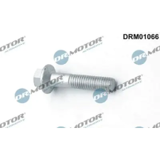 Dr.Motor Automotive Csavar, befecskendező fúvóka tartó DRM01066 autóalkatrész