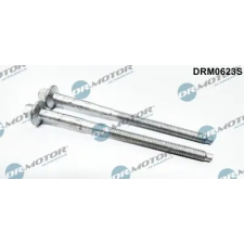 Dr.Motor Automotive Csavar, befecskendező fúvóka tartó DRM0623S autóalkatrész