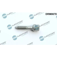 Dr.Motor Automotive Csavar, befecskendező fúvóka tartó DRM0678 autóalkatrész