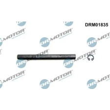 Dr.Motor Automotive Hajtótengely, olajszivattyú DRM01835 autóalkatrész