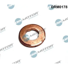 Dr.Motor Automotive Hővédő lemez, befecskendező rendszer DRM0178 autóalkatrész
