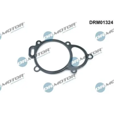 Dr.Motor Automotive Tömítés, bütyköstengely állítás DRM01324 autóalkatrész