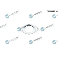 Dr.Motor Automotive Tömítés, kipuf.gáz visszavezető szelep DRM02810 autóalkatrész
