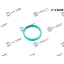 Dr.Motor Automotive tömítés, olajhűtő DRM02829 autóalkatrész