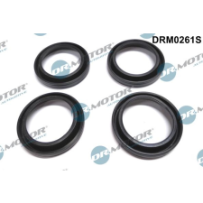 Dr.Motor Automotive tömítés, porlasztócsúcs-tartó Dr.Motor Automotive DRM0261S autóalkatrész