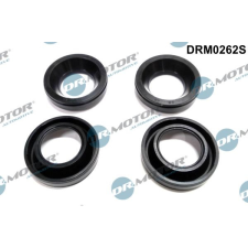 Dr.Motor Automotive tömítés, porlasztócsúcs-tartó Dr.Motor Automotive DRM0262S autóalkatrész