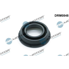 Dr.Motor Automotive tömítés, porlasztócsúcs-tartó Dr.Motor Automotive DRM0848 autóalkatrész