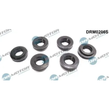 Dr.Motor Automotive tömítés, porlasztócsúcs-tartó DRM0206S autóalkatrész