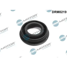 Dr.Motor Automotive tömítés, porlasztócsúcs-tartó DRM0219 autóalkatrész