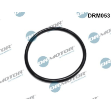 Dr.Motor Automotive Tömítés, üzemanyagszűrő Dr.Motor Automotive DRM053 autóalkatrész