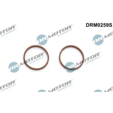 Dr.Motor Automotive tömítéskészlet, szívókönyök DRM0259S autóalkatrész