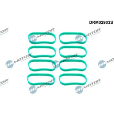 Dr.Motor Automotive tömítéskészlet, szívókönyök DRM02903S autóalkatrész