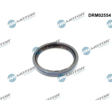 Dr.Motor Automotive tömítőgyűrű, főtengely Dr.Motor Automotive DRM02554 autóalkatrész