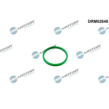 Dr.Motor Automotive Tömítőgyűrű, töltőlevegőcső DRM02648 autóalkatrész