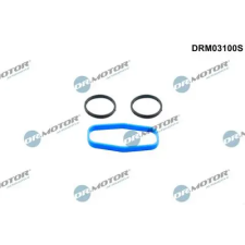 Dr.Motor Automotive Tömítőkészlet, olajszivattyú DRM03100S autóalkatrész