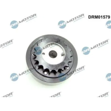 Dr.Motor Automotive vezérműtengely-állító DRM01579 autóalkatrész