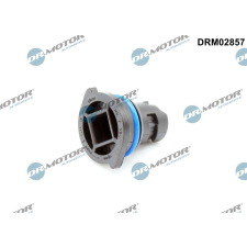 Dr.Motor Automotive Zárócsavar, olajteknő Dr.Motor Automotive DRM02857 autóalkatrész