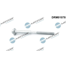 Dr.Motor Csavar, befecskendező fúvóka tartó DR. MOTOR DRM01078 autóalkatrész