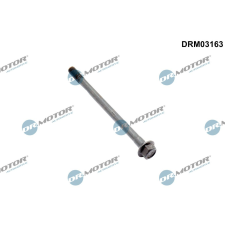 Dr.Motor Csavar, befecskendező fúvóka tartó DR. MOTOR DRM03163 autóalkatrész