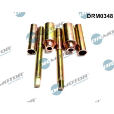Dr.Motor Csavar, befecskendező fúvóka tartó DR. MOTOR DRM0348 autóalkatrész
