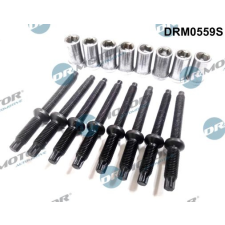 Dr.Motor Csavar, befecskendező fúvóka tartó DR. MOTOR DRM0559S autóalkatrész